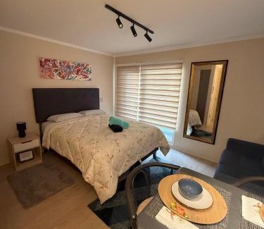 Temuco Apartamento | Departamento estudio en el centro de Temuco