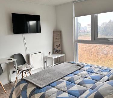 Valdivia Apartamento | Departamento estudio Isla Teja