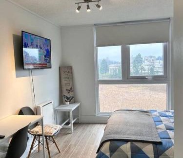 Valdivia Apartamento | Departamento estudio Isla Teja