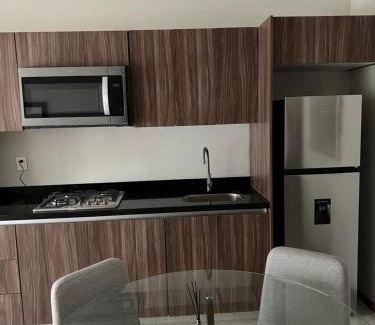 Torreón Apartamento | Departamento frente al TSM