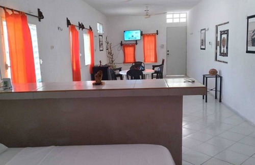 Dzilam de Bravo Apartamento | Departamento grande caracoles 1