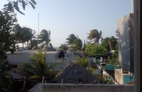 Dzilam de Bravo Apartamento | Departamento grande caracoles 2