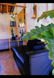 Alta Gracia Apartamento | Departamento katzen