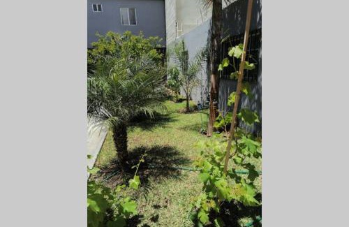 Constitución Apartamento | Departamento las palmas