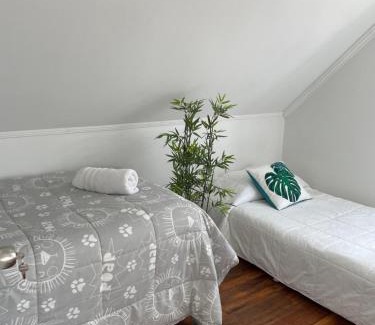 Punta Arenas Apartamento | Departamento manantiales 1