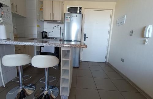 Concepcion Apartamento | Departamento Mirador Camilo Henriquez