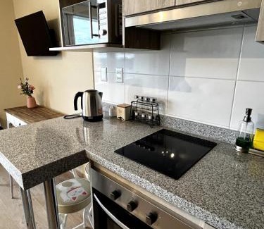 Osorno Apartamento | Departamento Mono Ambiente