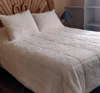 Mineral de Pozos Apartamento | Departamento NUEVO