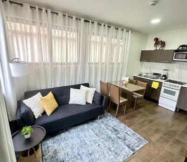 Roma Sur Apartamento | Departamento Roma 1 CDMX