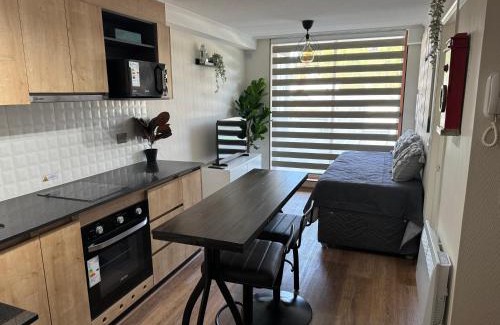 Chillan Apartamento | Departamento Royal Suite 2 Chillan - Centro - Factura - Empresa - Parking - wifi