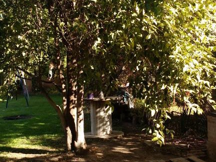 Neuquén Apartamento | Departamento SV