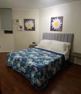 Bellas Artes Apartamento | Departamento un dormitorio amoblado Santiago centro