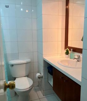 Bellas Artes Apartamento | Departamento un dormitorio amoblado Santiago centro