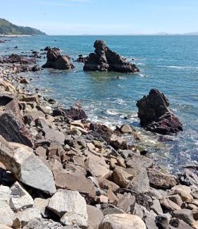 Tome Apartamento | departamentoplaya