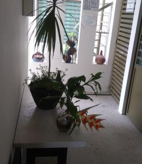 Palenque Apartamento | Departamentos de la Reina Roja