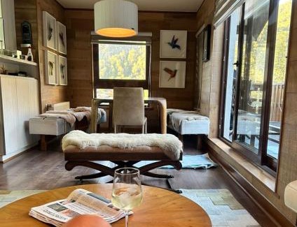 Pinto Apartamento | Departamentos Exclusivos Termas de Chillán