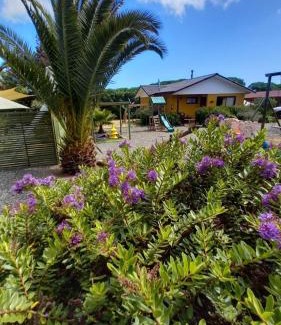 Algarrobo Apartamento | Departamentos y Cabañas Il Bosco