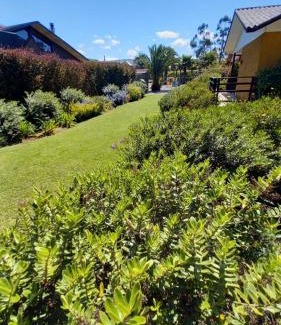 Algarrobo Apartamento | Departamentos y Cabañas Il Bosco