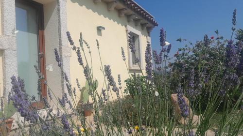 Arzachena Apartamento | Dependance Pavoncella