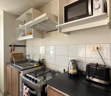 Concepcion Apartamento | Depto 1807 tres dormitorios y dos baños