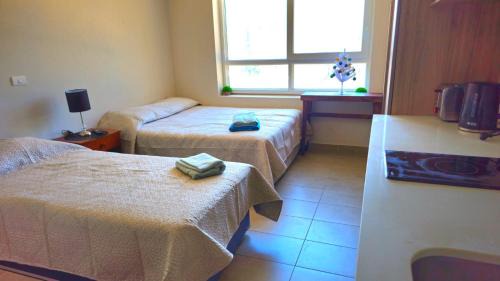 Temuco Apartamento | Depto Apart Hotel Atenea Centro Temuco