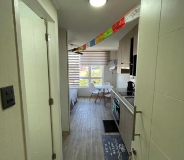 Chillan Apartamento | DEPTO. CENTRICO EN CHILLÁN CON ESTACIONAMIENTO