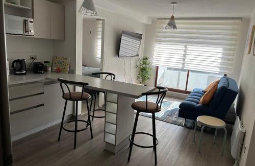 Chillan Apartamento | Depto Nuevo Chillan Centro 2D-2B-E privado