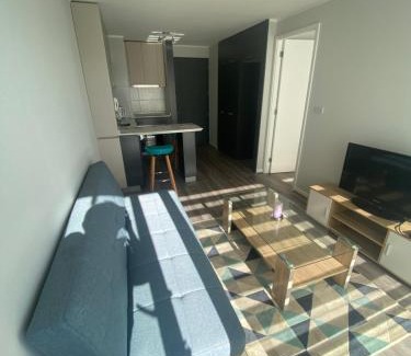 Concepcion Apartamento | Depto nuevo en brisas del sol