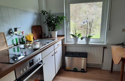 Freudenberg Apartamento | " der Englische Garten "