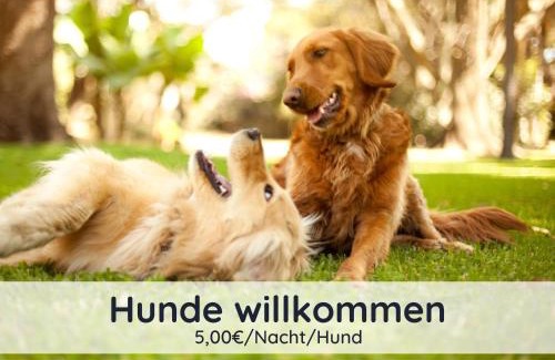 Steina Apartamento | Der Fuchsbau - Fewo LePetit - im sonnigen Harz - 3 Hunde willkommen - 100m bis zum Wald - FREE WLAN
