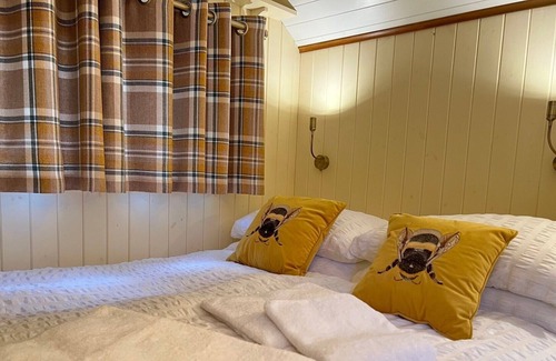 Llandysul Casa | Beautiful Shepherd's Hut with Hot Tub at The Daffodil (Primrose)