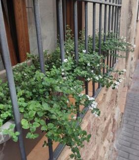 Molina de Aragón Casa | Descubre el Señorío