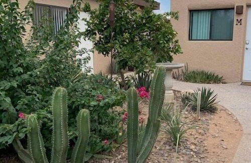 Limberlost Casa | Desert Morada Casita M-cute one bedroom