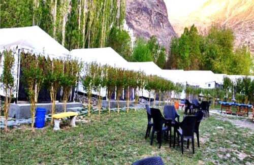 Hundur Otro | Desert Oasis Camp