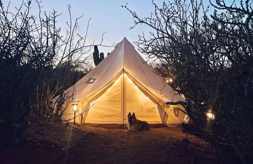Los Zacatitos Casa | Desert Zen with Pool, Rooftop, and Glamping Tent