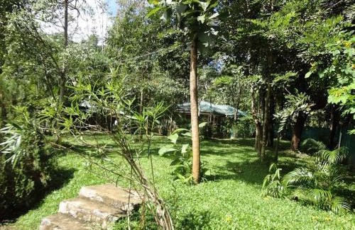Dambulla Hotel | Deshani Holiday Inn