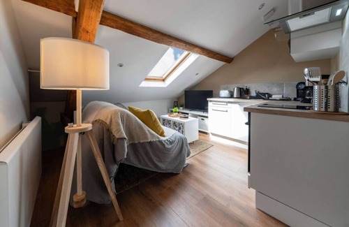 Vieux Vichy Apartamento | Design apartment in the city center