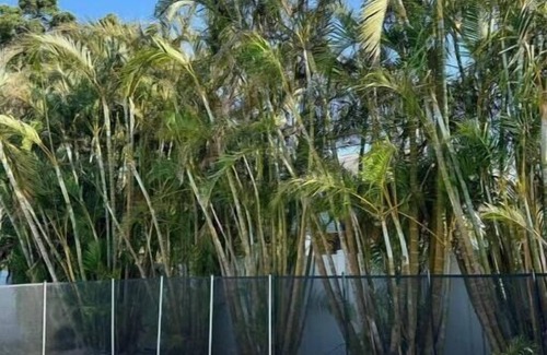 Memphis Casa | Designer 2BR Retreat + Private Pool!