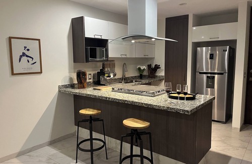 Providencia Apartamento | Designer 3 BedRoom / Daily Cleaning