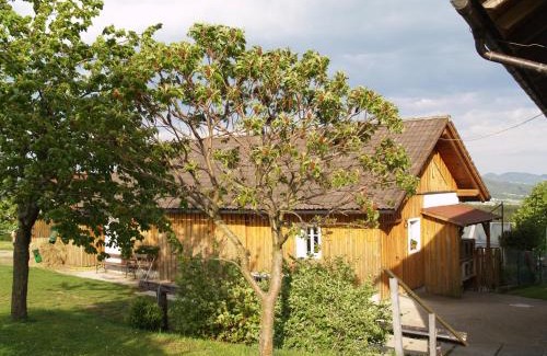 Waldburg Apartamento | Desl´s little farm