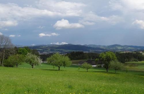 Waldburg Apartamento | Desl´s little farm