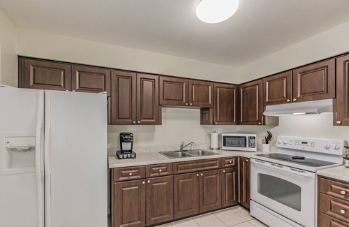 Tarpon Springs Apartamento | The Perfect Paradise Dogs Bienvenido