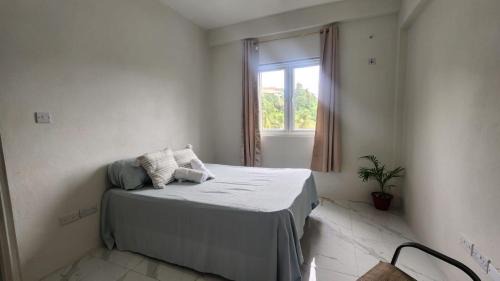 Soufriere Quarter Casa | Destiny Suites