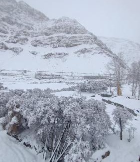 Spiti Casa | Dey-Khang Homestay
