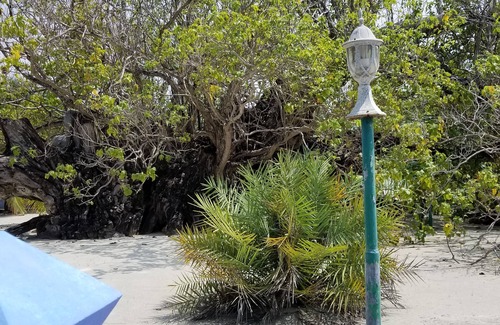 Milandhoo Casa | Dhaffalhu Tourist lodge