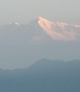 Vijaypur Casa | Dhamot Home Stay