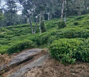 Vijaypur Casa | Dhamot Home Stay