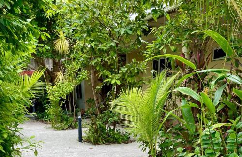 Dhangethi Casa | Dhangethi Retreat
