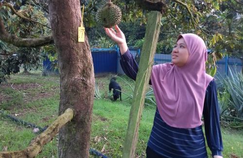 Kampung Bolok Casa | Dhia Irdina Homestay