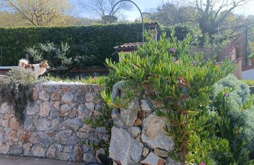 Sarzana Cama Y Desayuno | Di Luna e Di Sole